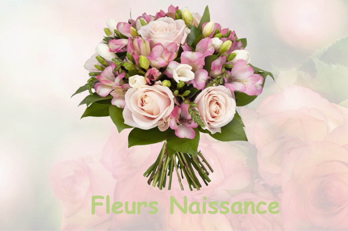 fleurs naissance LASSAY-LES-CHATEAUX