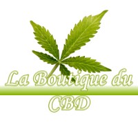 LA BOUTIQUE DU CBD LASSAY-LES-CHATEAUX 