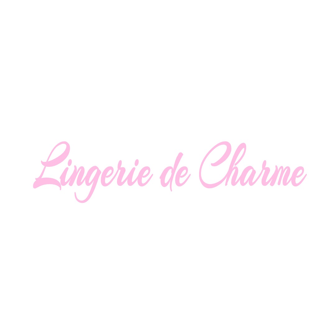 LINGERIE DE CHARME LASSAY-LES-CHATEAUX